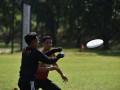 Tn dsc 0638